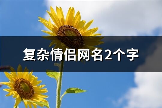 复杂情侣网名2个字(共476个)