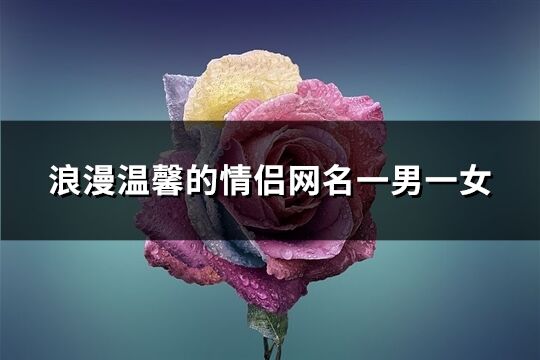 浪漫温馨的情侣网名一男一女(精选60个)