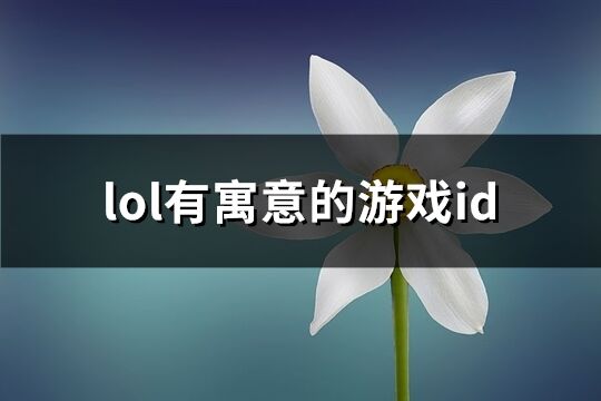 lol有寓意的游戏id(共392个)