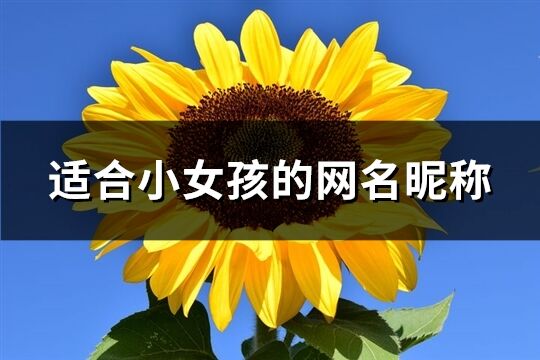 适合小女孩的网名昵称(共220个)