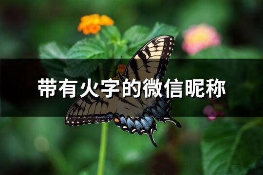 带有火字的微信昵称(优选87个)