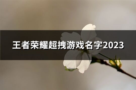 王者荣耀超拽游戏名字2023(共61个)