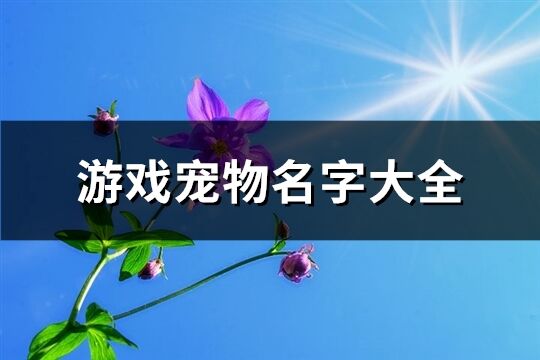 游戏宠物名字大全(共385个)