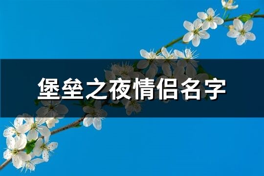 堡垒之夜情侣名字(96个)