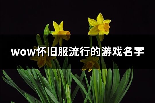 wow怀旧服流行的游戏名字(共134个)