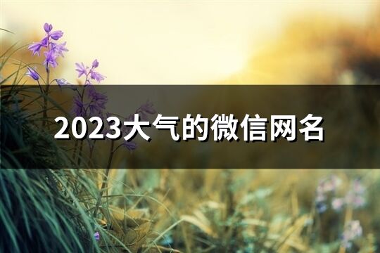 2023大气的微信网名(共852个)