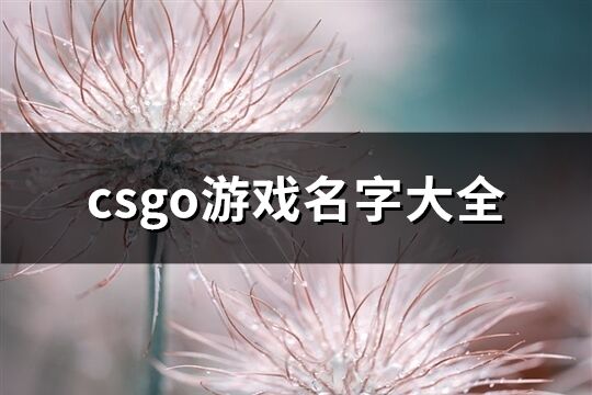 csgo游戏名字大全(共234个)