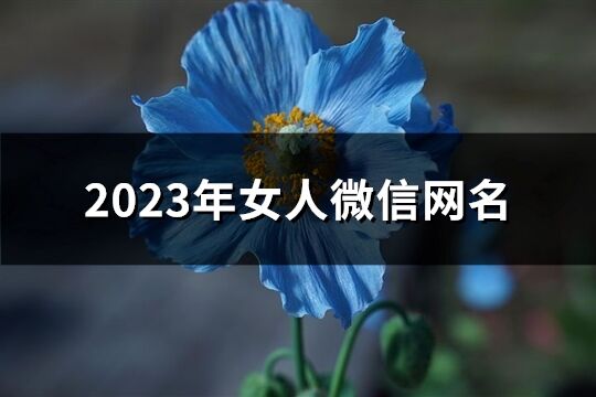 2023年女人微信网名(共1101个)