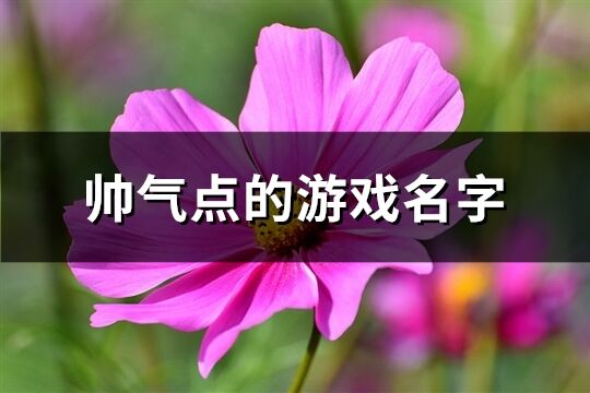 帅气点的游戏名字(精选516个)