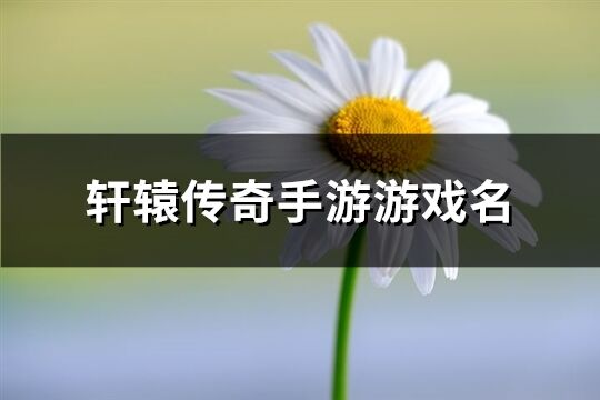 轩辕传奇手游游戏名(342个)