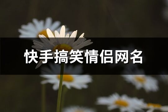 快手搞笑情侣网名(共110个)