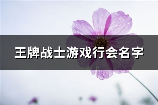 王牌战士游戏行会名字(精选236个)