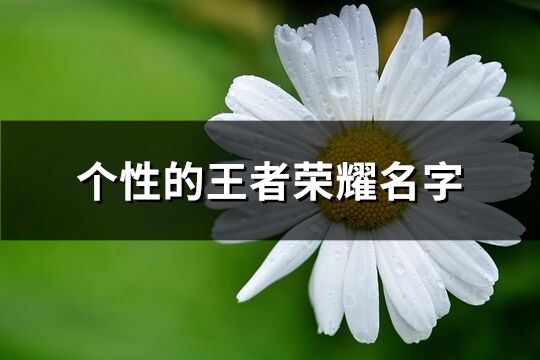 个性的王者荣耀名字(共388个)