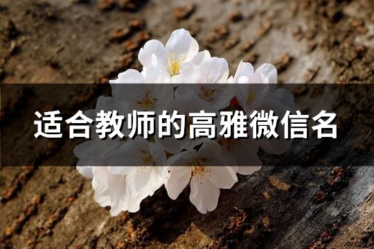 适合教师的高雅微信名(共348个)