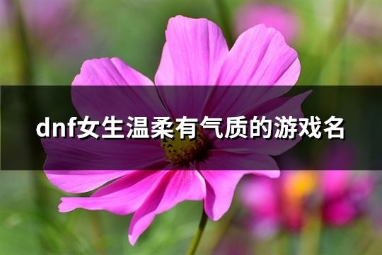 dnf女生温柔有气质的游戏名(精选102个)