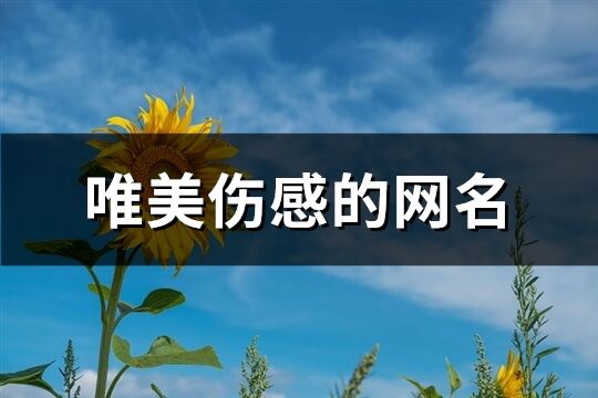 唯美伤感的网名(共267个)