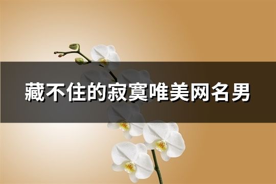 藏不住的寂寞唯美网名男(216个)