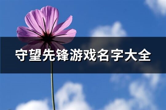 守望先锋游戏名字大全(286个)