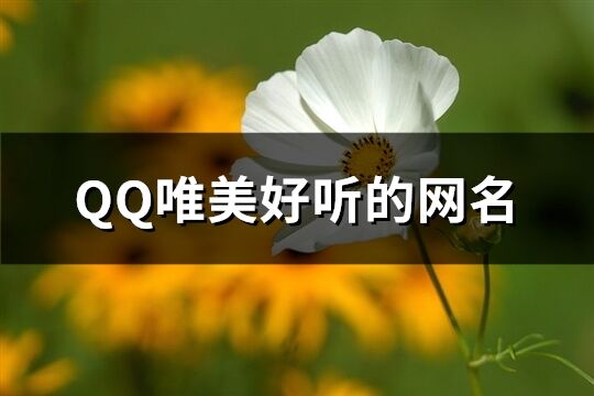 QQ唯美好听的网名(精选153个)