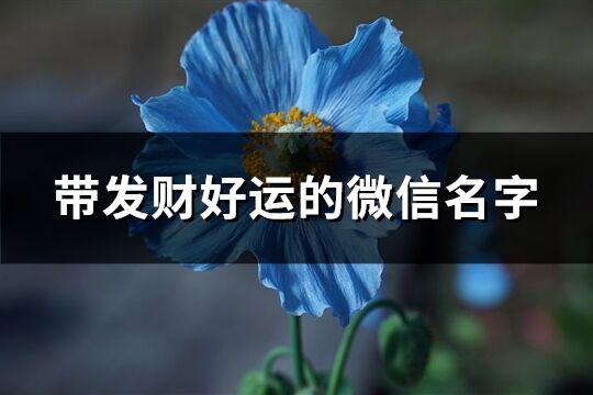 带发财好运的微信名字(共486个)