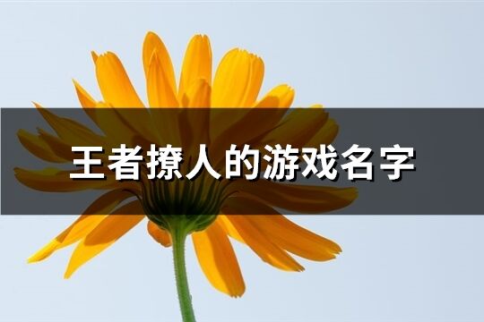 王者撩人的游戏名字(精选392个)