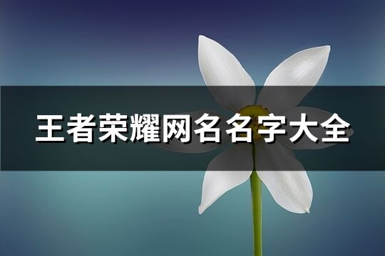 王者荣耀网名名字大全(共833个)