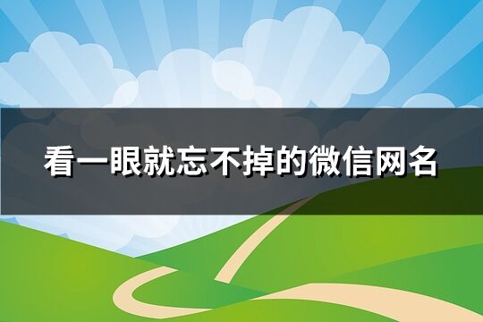 看一眼就忘不掉的微信网名(181个)