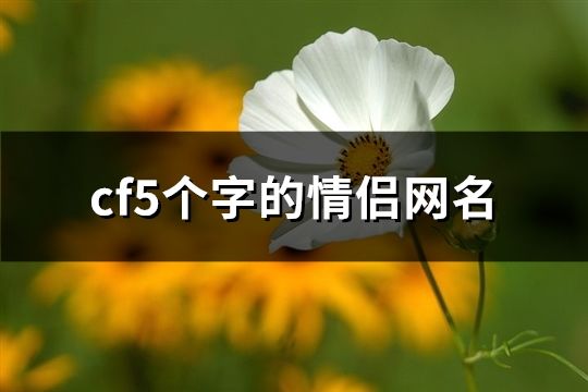 5个字的cf情侣网名(共187个)