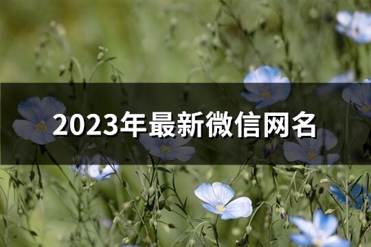 2023年最新微信网名(共924个)