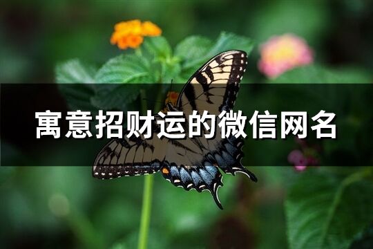 寓意招财运的微信网名(精选669个)