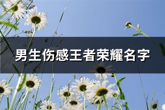 男生伤感王者荣耀名字(共344个)