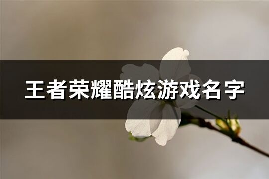 王者荣耀酷炫游戏名字(共400个)