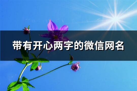 带有开心两字的微信网名(精选410个)