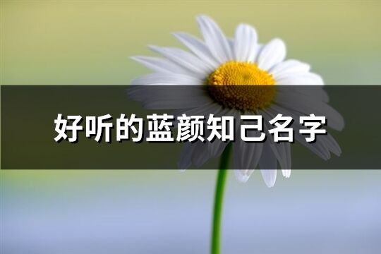 好听的蓝颜知己名字(优选72个)