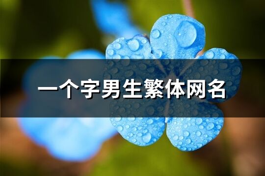 一个字男生繁体网名(73个)