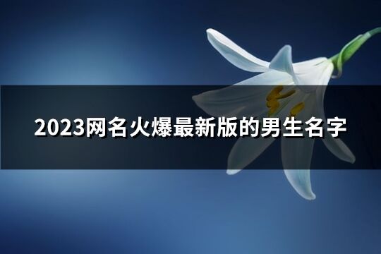 2023网名火爆最新版的男生名字(优选620个)