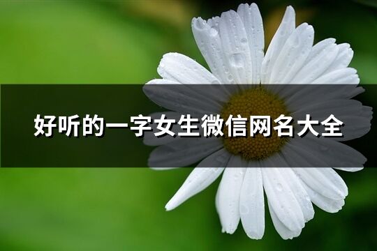 好听的一字女生微信网名大全(共152个)