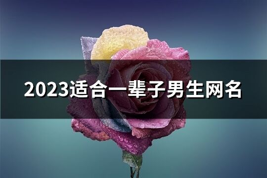 2023适合一辈子男生网名(共994个)