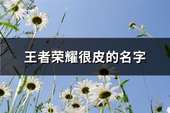 王者荣耀很皮的名字(84个)