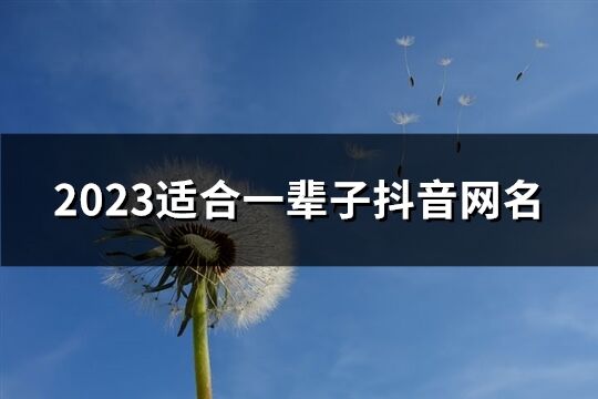 2023适合一辈子抖音网名(优选512个)