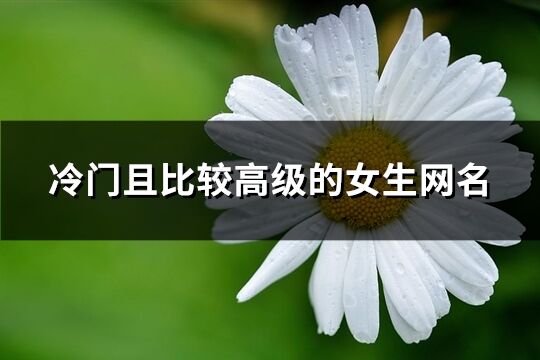 冷门且比较高级的女生网名(共361个)