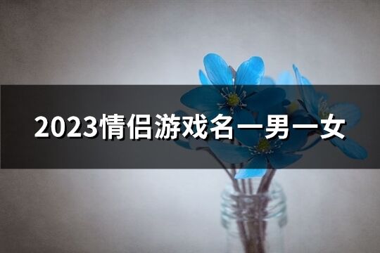 2023情侣游戏名一男一女(97个)