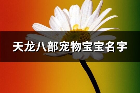 天龙八部宠物宝宝名字(共479个)