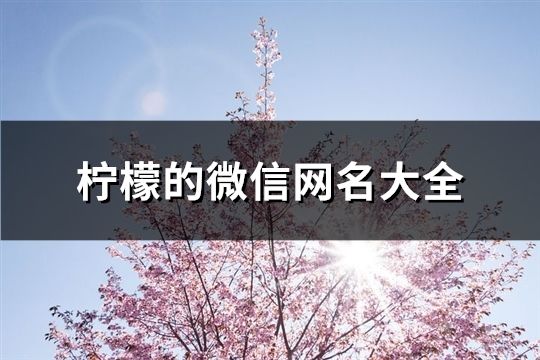 柠檬的微信网名大全(92个)