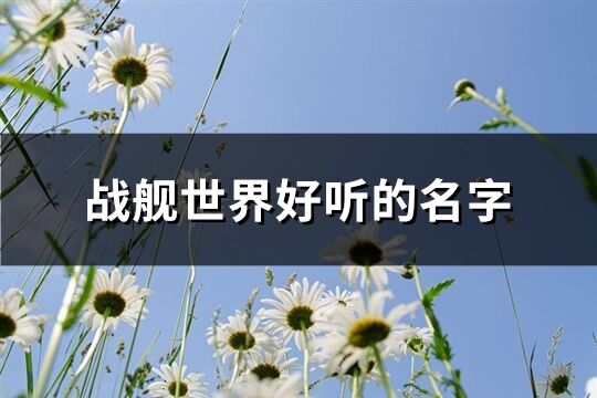 战舰世界好听的名字(共181个)