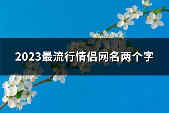 2023最流行情侣网名两个字(优选229个)