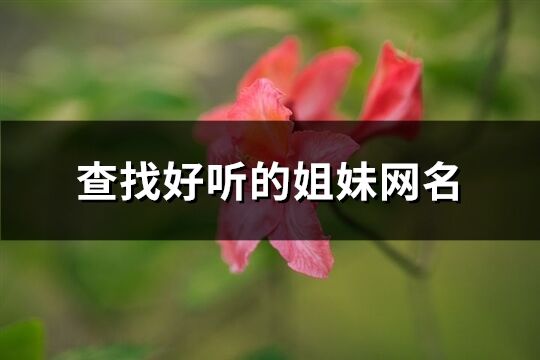 查找好听的姐妹网名(284个)