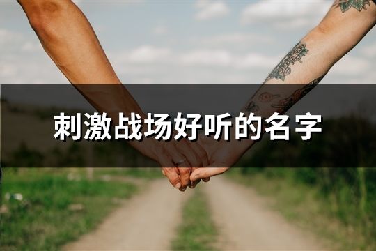 刺激战场好听的名字(共114个)