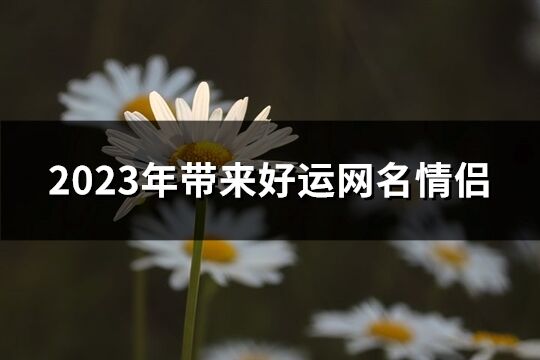 2023年带来好运网名情侣(共319个)