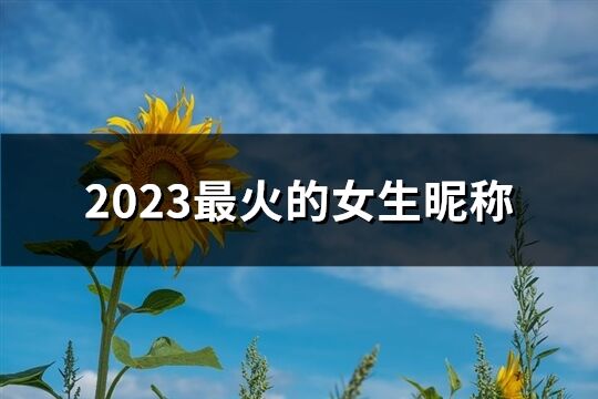 2023最火的女生昵称(精选800个)